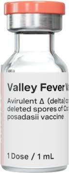 Valley Fever Vaccine for Dogs: Protecting Your Furry Friend