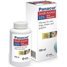 Fenbendazole (Panacur, Safe-Guard) for Cats: Safe and Effective Worm Treatment