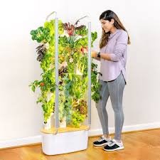 Gardyn Technology: Revolutionizing Indoor Gardening with Smart Automation