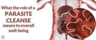 Dallas Parasite Cleanse Guide for Better Gut Health