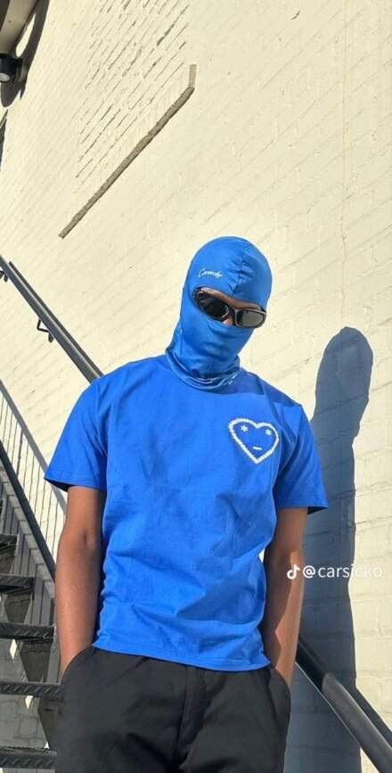 Choosing the Best carsicko Fabric for Your