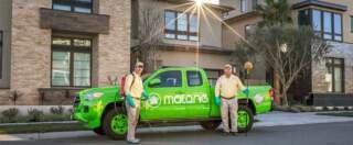 Restaurants and Cafés: Preventing Pest Issues Without Losing Customers