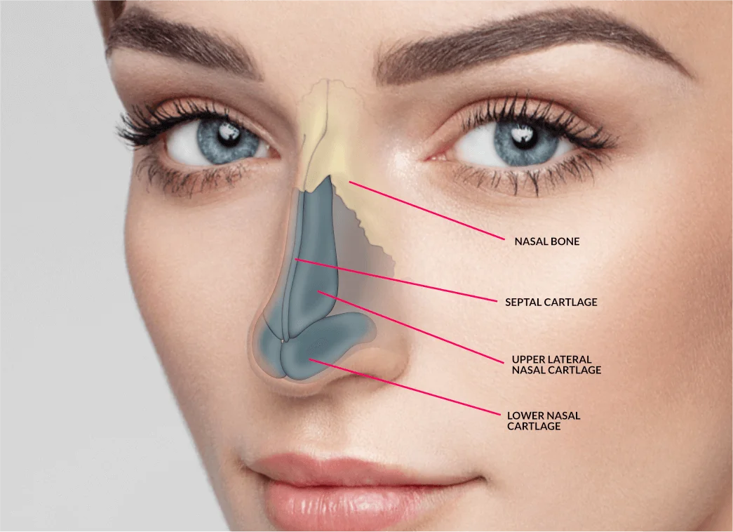 Cost and Recovery Details of the Best Rhinoplasty in Dubai