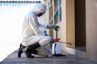 The Value of Professional Pest Control: Protecting Your Home from Silent Threats