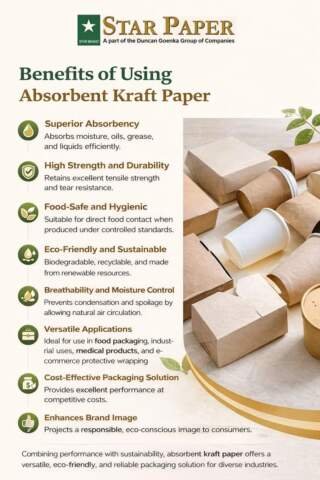 Absorbent Kraft Paper: Strength, Sustainability, and Superior Absorption