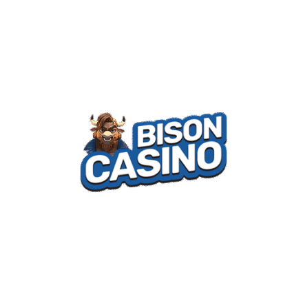 Jak wybrać automaty online z najwyższym RTP w Bison Casino