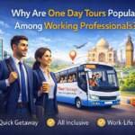 Why Are One Day Tours Popular Among Working Professionals?