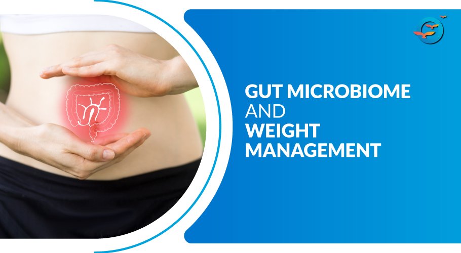 Understanding the Gut Microbiome and Its Role in Health