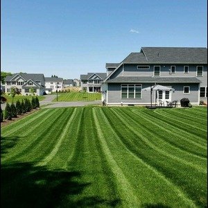 How to Maintain Your Lawn in Connecticut Year-Round