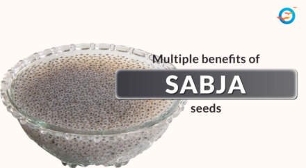 Sabja Seeds – Benefits and Its Side Effects