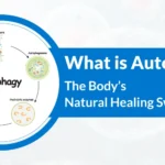 What Is Autophagy? Understanding the Body’s Natural Healing Switch