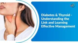 Diabetes and Thyroid – Understanding the Connection