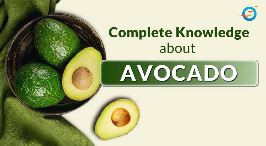 Is Avocado Good for Diabetes?