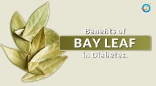 Bay Leaves (Tej Patta): A Simple Spice That Can Help Manage Diabetes Naturally