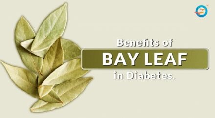 Bay Leaves (Tej Patta): A Simple Spice That Can Help Manage Diabetes Naturally