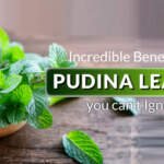 Health Benefits of Mint Leaves