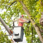 Advanced Lifting Using Crane Services Systems