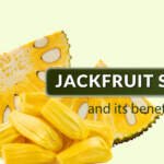 Are Jackfruit Seeds Good for Diabetes Patients?